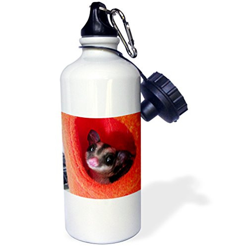 3dRose wb_107067_1"Pearl Harbor Dec. 7, 1941 USS West Virginia Up In Flames" Sports Water Bottle, 21 oz, White 3dRose wb_107067_1"Pearl Harbor Dec. 7, 1941 USS West Virginia Up In Flames" Sports Water Bottle, 21 oz, White