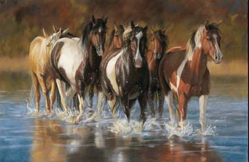 Unbridled - 24" x 44" - 100% Cotton Quilt Fabric