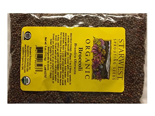 Broccoli Sprouting Seeds Organic - 4 Oz (113 G) - Starwest Botanicals