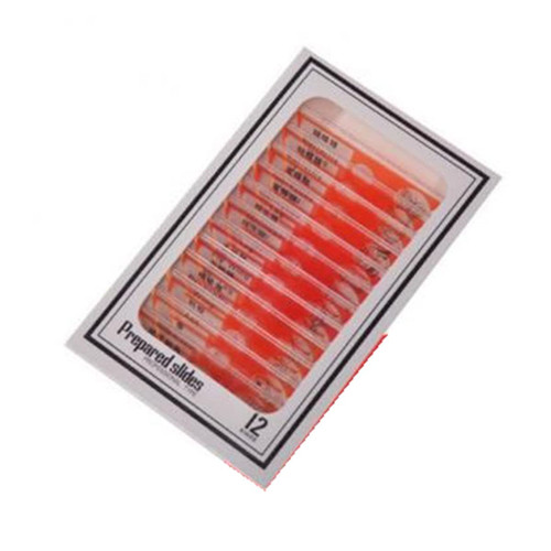 Microscope Kit Prepared Plastic Microscope Slides Biological Microscope Lens Adapters (Color : Red)