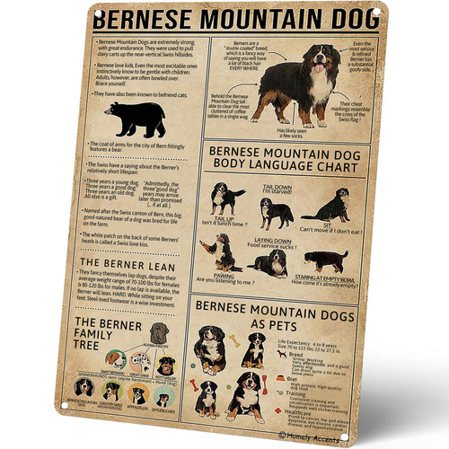 Homely Accents Bernese Mountain Dog Knowledge Metal Signs, Vintage Farmhouse Decor Tin Sign, Wall Art Poster for Bathroom, Cafe, Bar Decor Gift for Dog Lovers 12x16 Inches