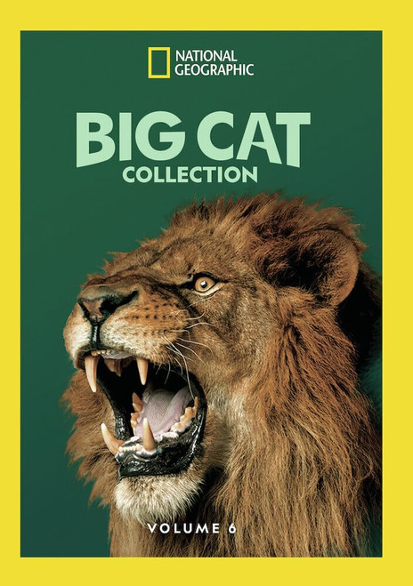 Big Cat Collection Vol 6