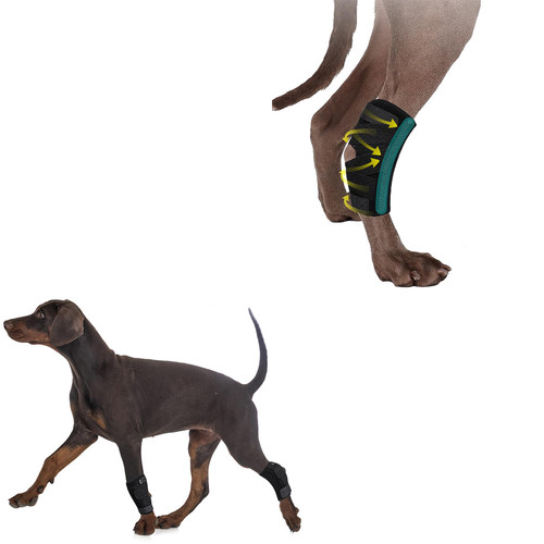 (S/M) Dog Canine Front Leg Brace Paw Compression Wraps with Protects Wounds Brace Heals and Prevents Injuries and Sprains Helps with Loss of Stability Caused by Arthritis