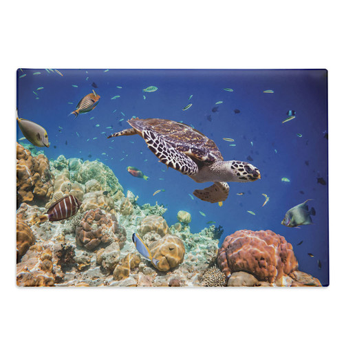 Lunarable Ocean Cutting Board, Tropical Sea Turtle Swimming in Sea Maldives Image, Decorative Tempered Glass Cutting and Serving Board, Large Size, Ocean Blue