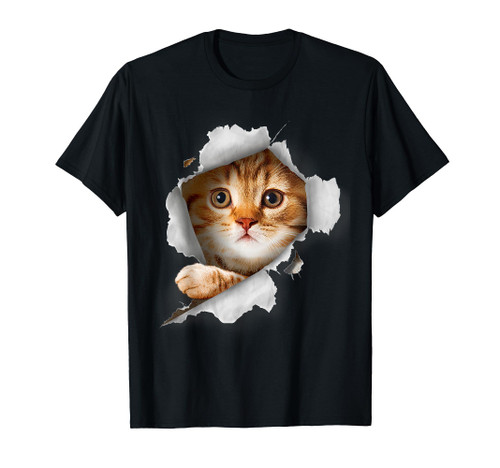 Cat Lover, Kitten Lover, Cute Cat, Cat Owner, Funny Cat T-Shirt Cat Lover, Kitten Lover, Cute Cat, Cat Owner, Funny Cat T-Shirt