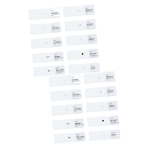 HEALLILY Microscope Specimens Slides 20 Pcs Glass Specimen Slides Specimens Slides Microscope Slides with Specimens Biology Prepared Slides Sample Science Education HEALLILY Microscope Specimens Slides 20 Pcs Glass Specimen Slides Specimens Slides Microscope Slides with Specimens Biology Prepared Slides Sample Science Education