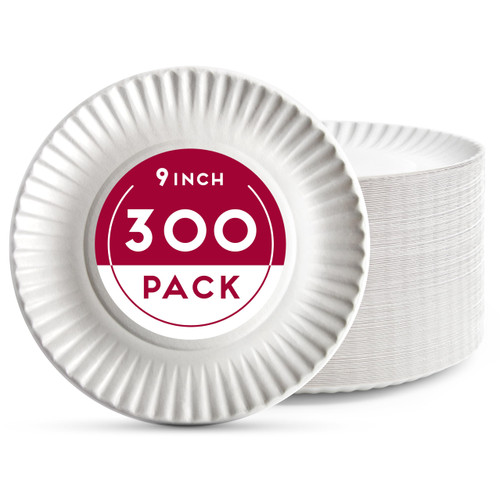 Alitte 9-Inch Disposable Paper Plates - 300 Count - Bulk Pack of Heavy-Duty Paper Plates for Everyday Use - Dinnerware for Meals, Parties And Picnics