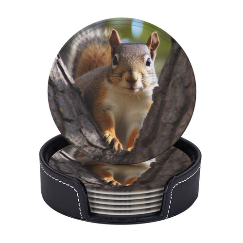 Drink Coasters Set of 6 Squirrel in The Tree Coasters for Coffee Table Absorbent Leather Coasters for Drinks with Holder Cup Coaster Set Decor for Bar