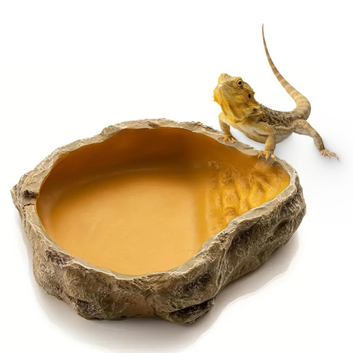 Freshinsects Reptile Water Dish,Resin Reptile Rock Food Feeder Bowl, Water and Food Bowl, Terrarium Decor for Leopard Gecko, Lizard,Spider, Turtle,Scorpion, Chameleon, Hermit Crabs (Large, Yellow) Freshinsects Reptile Water Dish,Resin Reptile Rock Food Feeder Bowl, Water and Food Bowl, Terrarium Decor for Leopard Gecko, Lizard,Spider, Turtle,Scorpion, Chameleon, Hermit Crabs (Large, Yellow)