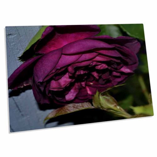 3dRose A Rose Growing in The Shade with Rich deep Color - Desk Pad Place Mats (dpd-161054-1) 3dRose A Rose Growing in The Shade with Rich deep Color - Desk Pad Place Mats (dpd-161054-1)