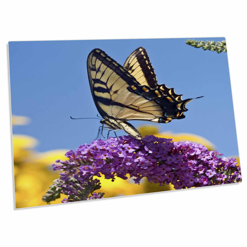 3dRose Illinois - Eastern Tiger Swallowtail on Butterfly Bush - Desk Pad Place Mats (dpd-205869-1)