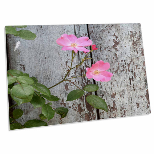 3dRose Pink Rose Bush in Front of a Rustic Wall - Photography - Desk Pad Place Mats (dpd-293283-1)