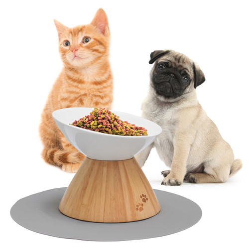 DIVERSSO Raised Cat Bowl - Elevated Dog Bowls for Small Dogs- Elevated Cat Bowls -Cat Bowls for Indoor Cats -Raised Dog Bowls for Small Dogs - Cat Dishes- Tilted Cat Food Bowls- Silicone Pet Food Mat DIVERSSO Raised Cat Bowl - Elevated Dog Bowls for Small Dogs- Elevated Cat Bowls -Cat Bowls for Indoor Cats -Raised Dog Bowls for Small Dogs - Cat Dishes- Tilted Cat Food Bowls- Silicone Pet Food Mat