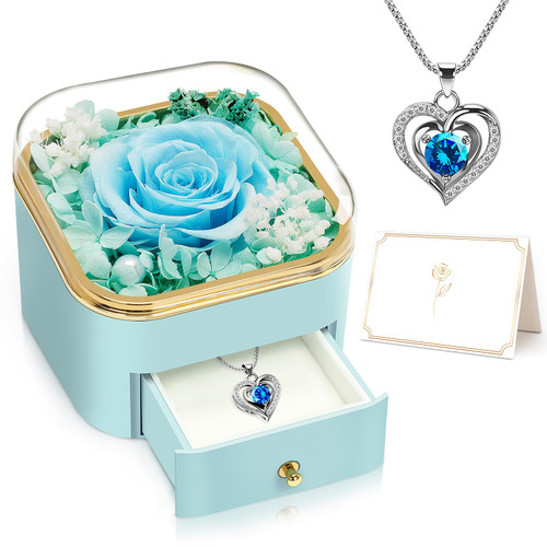 Light Blue Preserved Rose with Necklace Birthday Gifts for Women Mom Her Grandma Friend, Real Roses Flowers in Angel Figurines Glass, Gift on Anniversary, Christmas, Mother's Day, Valentine's Day Light Blue Preserved Rose with Necklace Birthday Gifts for Women Mom Her Grandma Friend, Real Roses Flowers in Angel Figurines Glass, Gift on Anniversary, Christmas, Mother's Day, Valentine's Day