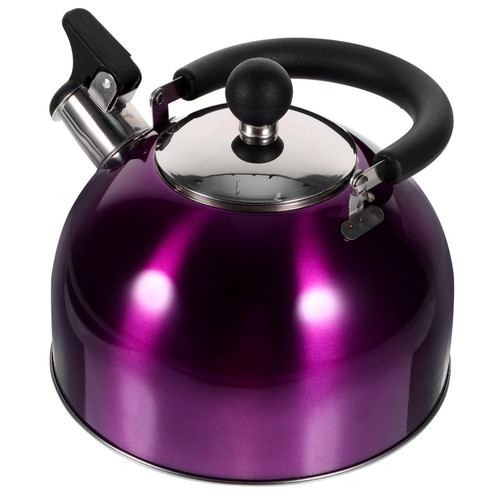 KJHBV Stainless Steel Kettle Boiled Kettle Boiling Kettle Sounding Kettle Whistling Tea Kettle Stovetop Whistling Teapot Tea Kettle Stovetop Kettle Pot Camping Whistle Purple