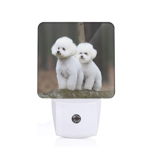 Visent Bichon Frise Printing Night Lights Plug Into Wall Led Night Lights Plug Into Wall Dusk to Dawn Night Lamp Led Night Light for Kids Room,Adults Bedroom,Kitchen,Hallway