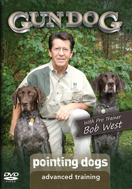 Gun Dog Advanced Training: Pointing Dogs DVD