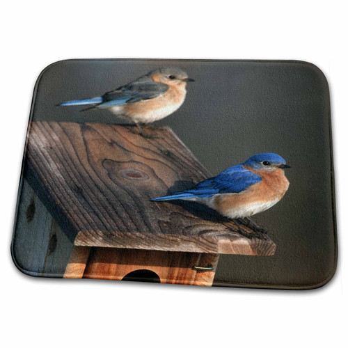 3dRose Eastern Bluebird Male and Female on Peterson nest... - Bathroom Bath Rug Mats (rug-250925-1) 3dRose Eastern Bluebird Male and Female on Peterson nest... - Bathroom Bath Rug Mats (rug-250925-1)