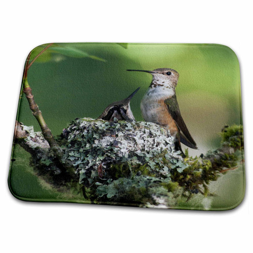 3dRose Rufous Hummingbird Female with Chick on nest. - Bathroom Bath Rug Mats (rug-345470-1) 3dRose Rufous Hummingbird Female with Chick on nest. - Bathroom Bath Rug Mats (rug-345470-1)