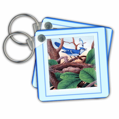 3dRose Key Chains Framed Photo Of Vintage Blue Jay In Nest With Eggs (kc-98431-3) 3dRose Key Chains Framed Photo Of Vintage Blue Jay In Nest With Eggs (kc-98431-3)