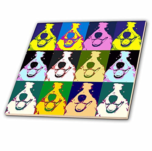 3dRose ct_6054_5 Border Collie Pop Art Glass Tile, 4-Inch