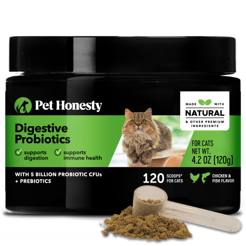 Pet Honesty Digestive Probiotics Max Strength for Cats Supplement - Digestive Support + Gut Health, Probiotic for Cats, Cat Constipation Relief, Bowel Support, Immunity & Overall Health - 120 Scoops