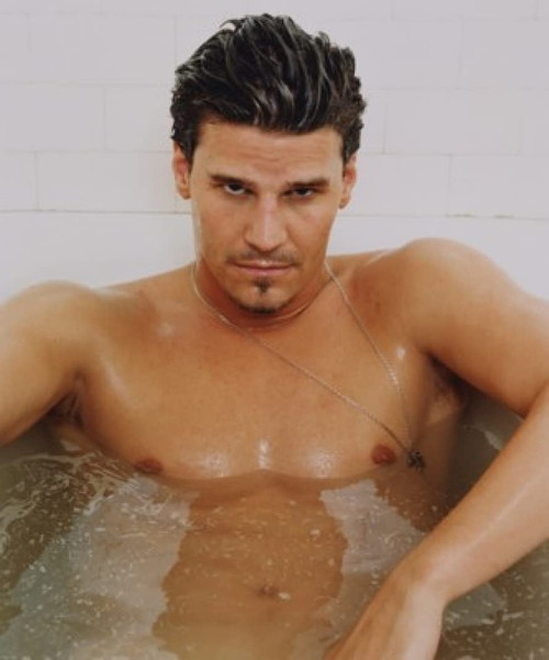 David Boreanaz - 24X36 Poster FCA #FCA153382