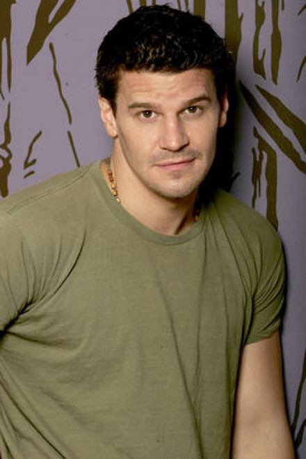 David Boreanaz - 24X36 Poster FCA #FCA548061
