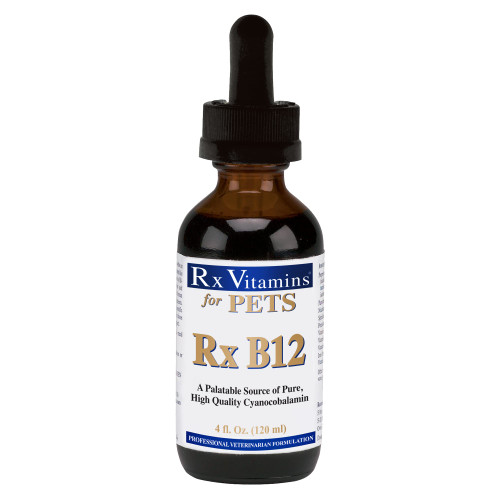 Rx Vitamins Rx B12 for Dogs & Cats - Vitamin B12 Liquid Supplement for Pets - Dog Vitamins for Small & Large Breed - Cat Health Supplies - 4 oz. Rx Vitamins Rx B12 for Dogs & Cats - Vitamin B12 Liquid Supplement for Pets - Dog Vitamins for Small & Large Breed - Cat Health Supplies - 4 oz.