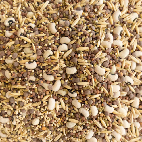 No-Till Forage Friendly Cover Crop Seed Mix - 5 Pounds, Covers 5,000 Sq. Ft. - 9 Varieties of Winter Kill Cover Crop Seeds - Spring, Summer, or Fall Cover Crop Seeds - Non-GMO Seeds for Planting