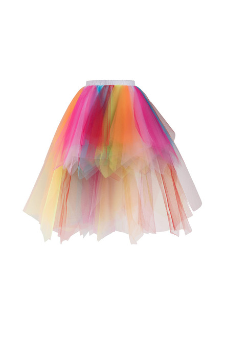 Layered Tutu Skirt Rainbow Tulle Tutu Skirts Dance Tutu Skirts Ballet Tutu Skirts Festival Tutu Costume for Women and Girls Rainbow Layered Tutu Skirt Rainbow Tulle Tutu Skirts Dance Tutu Skirts Ballet Tutu Skirts Festival Tutu Costume for Women and Girls Rainbow