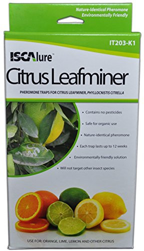 Citrus Leafminer Traps, 3 traps & 3 lures per box