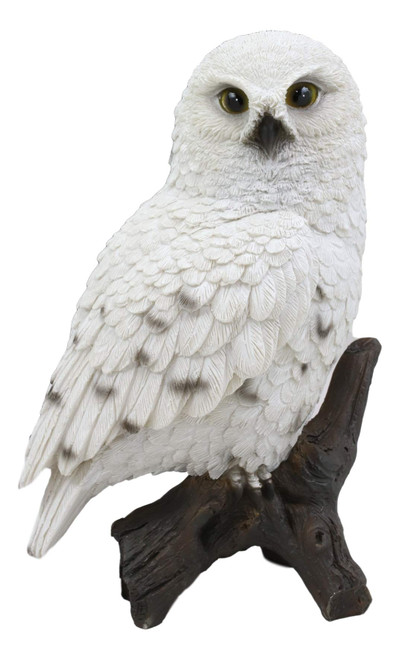 Ebros Snowy Tundra White Owl Perching On Tree Branch Statue 6.5" Tall Whimsical Tundra Forest Nocturnal Taxidermy Owls Figurine