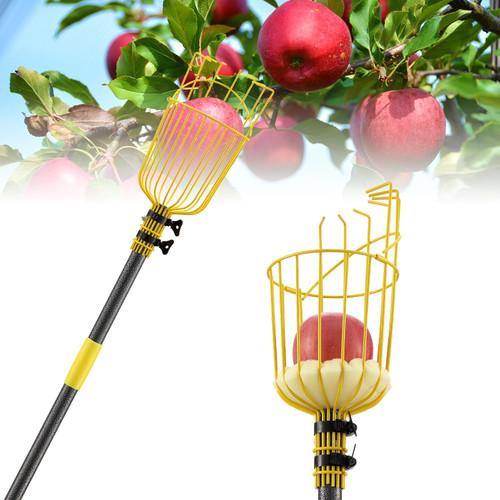 10FT Fruit Picker, Adjustable Fruits Picker Tool with Lightweight Pole and Big Basket, Fruit Catcher Equipment Apple Picker for Lemon Apples Mango Pear Orange Avocados Fruit Picking Grabber Tool