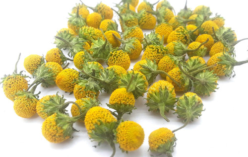 Dried Lemon Drop Buzz Buttons (Acmella oleracea). 100+ Individual Dried Flowers Vacuumed Sealed for Longer Shelf Life.