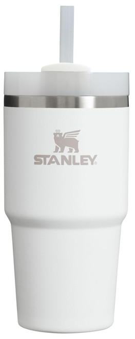 Stanley Quencher H2.0 FlowState Stainless Steel Vacuum Insulated Tumbler with Lid and Straw for Water, Iced Tea or Coffee, Smoothie and More, Frost, 20oz