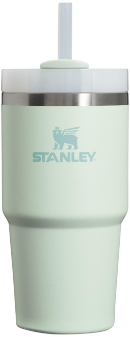 Stanley Quencher H2.0 FlowState Stainless Steel Vacuum Insulated Tumbler with Lid and Straw for Water, Iced Tea or Coffee, Smoothie and More, Mist, 20oz
