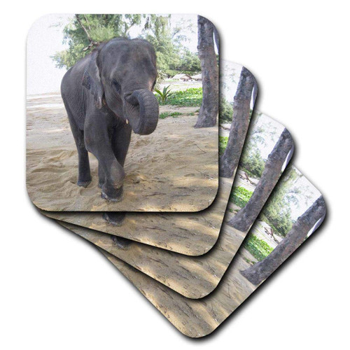 3dRose cst_26798_3 Thailand Elephant-Ceramic Tile Coasters, Set of 4 3dRose cst_26798_3 Thailand Elephant-Ceramic Tile Coasters, Set of 4
