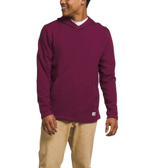 THE NORTH FACE Men's TNF Terry Hoodie, Boysenberry, Small