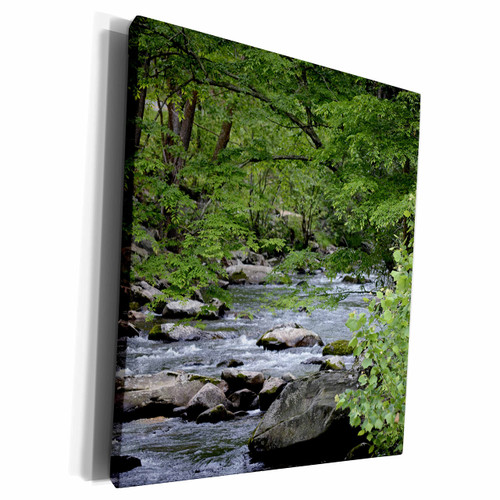 3dRose Smokey Mountain Stream is a photo of a stream in... - Museum Grade Canvas Wrap (cw_192976_1)