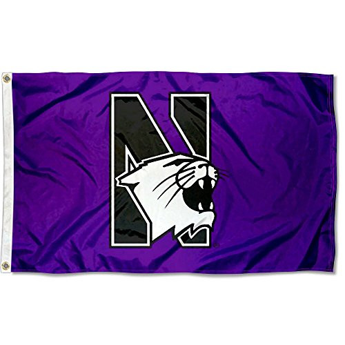 College Flags and Banners Co. Northwestern Wildcats Flag