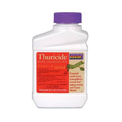 Bonide B011TCCSM0 803 Thuricide BT Insect Killer, 16-Ounce (2 Pack), 2 Pack of 16 oz, Multicolor