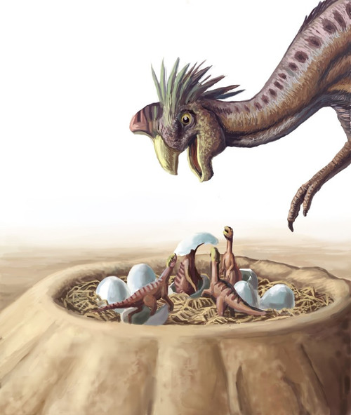 Posterazzi Oviraptor and Nest Poster Print by Spencer Sutton/Science Source, (18 x 24), Varies