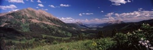 Posterazzi Wildflowers with mountains in the background Crested Butte Gunnison County Colorado USA Poster Print, (36 x 12)