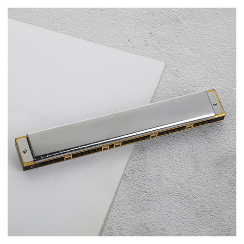 FURLOU harmonica Harmonica Beginner 28 Hole C Polyphonic Entry Student Adult Playing Musical Instrument Harmonica (Color : Silver)