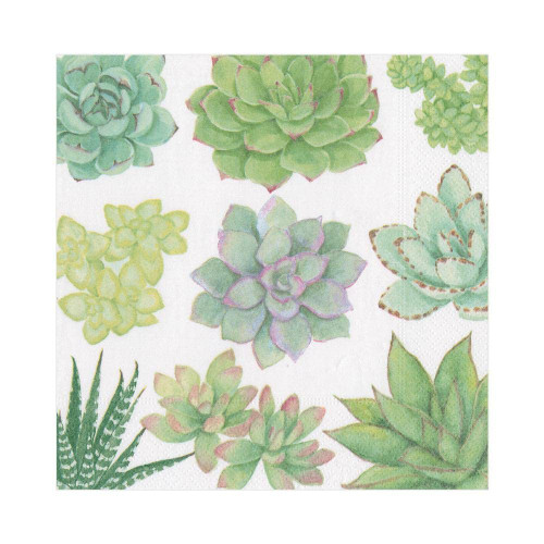Caspari Succulents Paper Luncheon Napkins - 80 Count