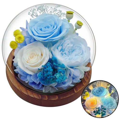 Rose Flowers Birthday Gifts for Women, Preserved Real Flowers Bouquet Glass Dome Light Up Glass Rose Gifts for Mom Girlfriend Wife Valentine's Anniversary, Arrangement Home Gifts for Her Rose Flowers Birthday Gifts for Women, Preserved Real Flowers Bouquet Glass Dome Light Up Glass Rose Gifts for Mom Girlfriend Wife Valentine's Anniversary, Arrangement Home Gifts for Her