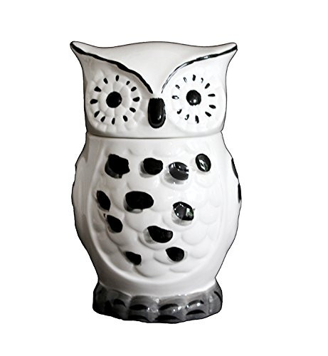 ACK Tuscany Cute Black and White Owl Ceramic Cookie Jar, 81676