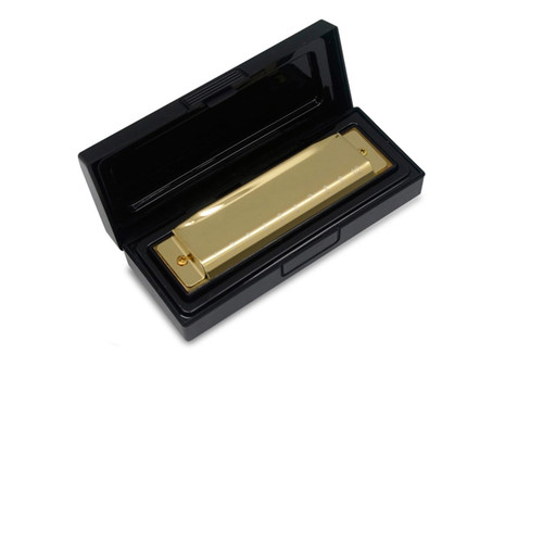 TEMKIN harmonica Harmonica 10 Holes Diatonic Beginner Student Adult Harmonica Musical Instrument Harmonica (Color : Gold)