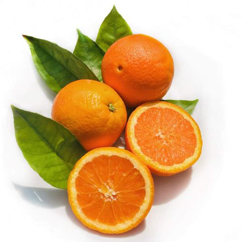 Kejora Valencia Oranges (12)